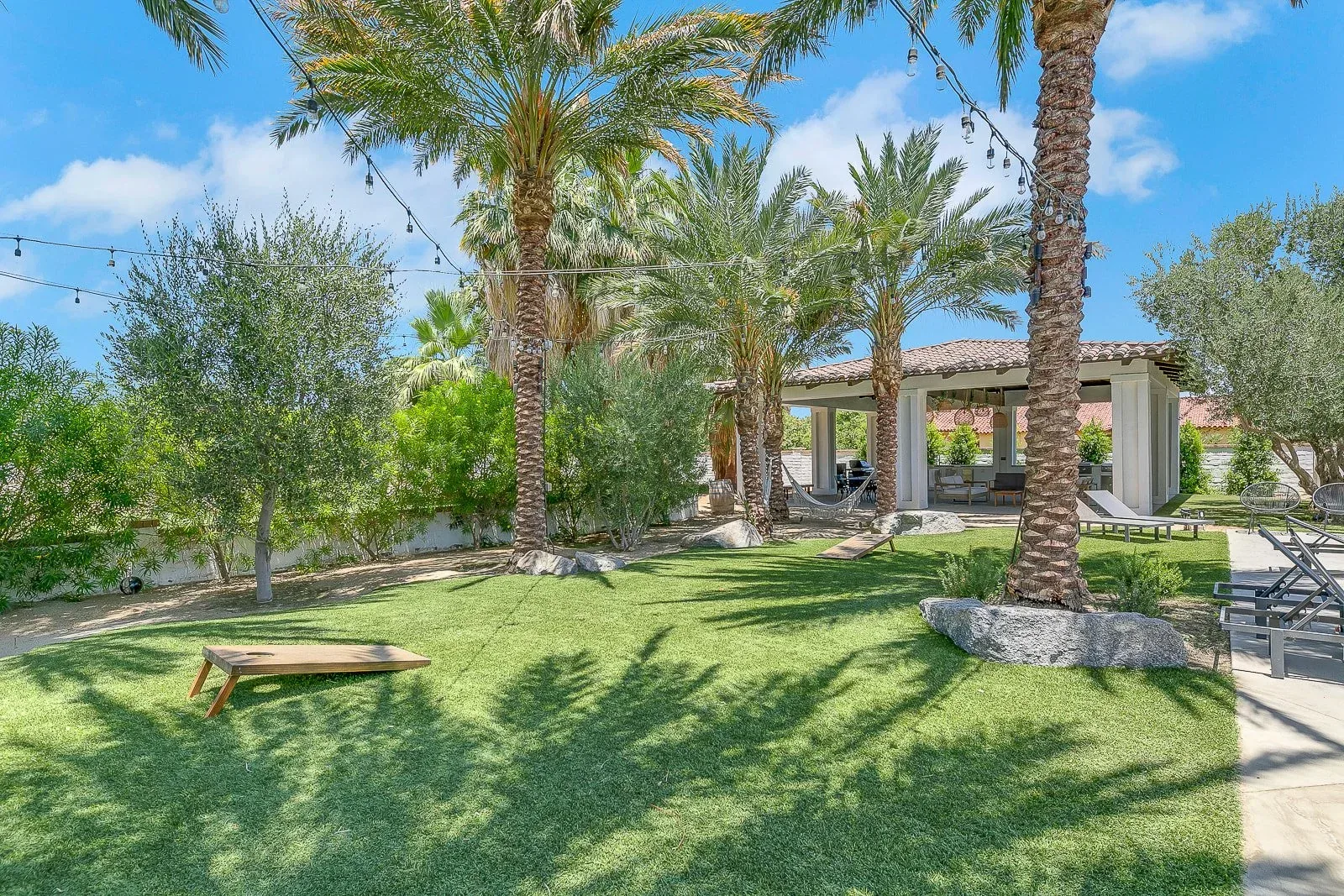 Open lawn under the palms