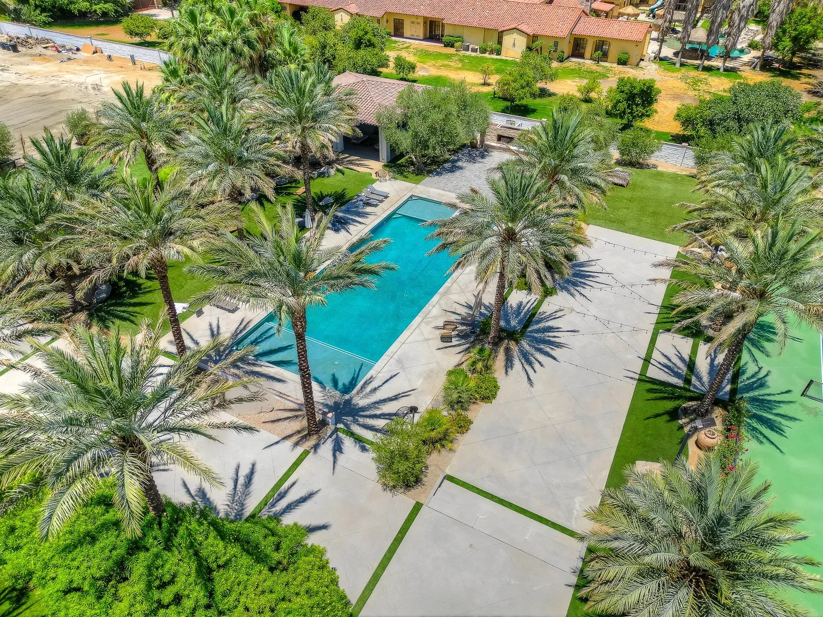 The pool and the date palms