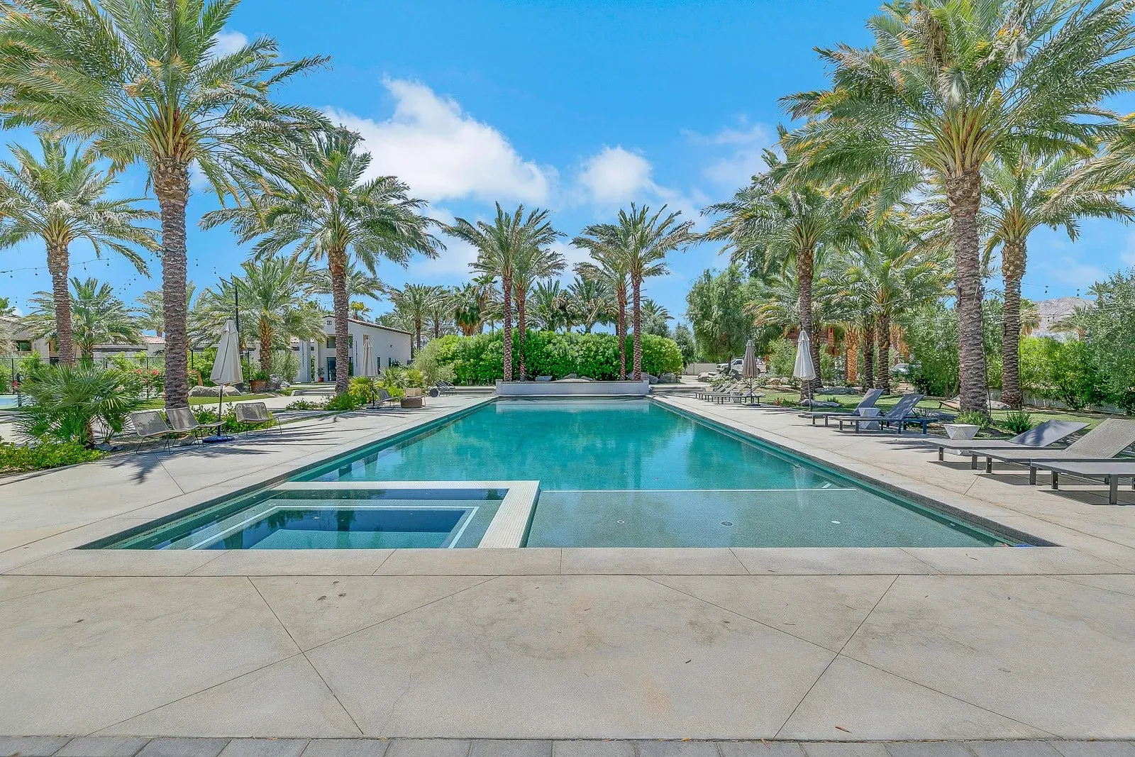 The pool